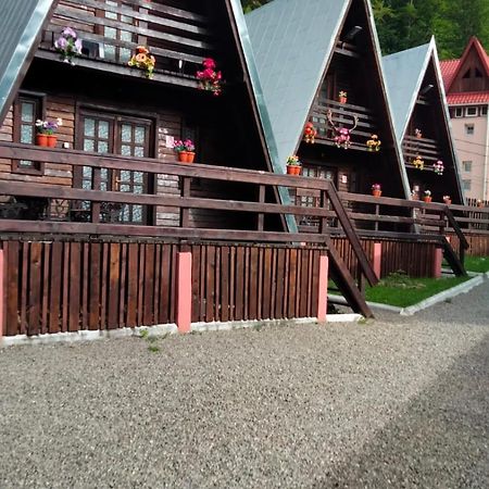 Cabane Sinaia Exterior foto